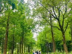 -西溪国家湿地公园