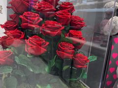 -ROSEONLY诺誓(广州K11店)