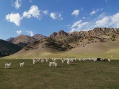 -新疆国际大巴扎