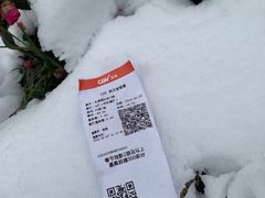 -CGV影城(金银潭激光IMAX店)