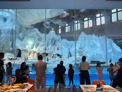 -帝企鹅自助餐厅•儿童岛•真企鹅(长隆企鹅酒店)