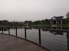 -映月湖公园