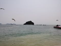 -棒棰岛宾馆景区