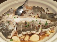 百秒焗鲈鱼-单家老院·院子里的青岛菜(沙子口店)