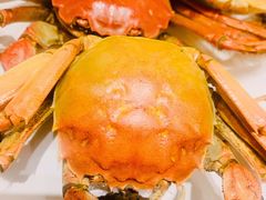 -禾斗海鲜自助(市南银座店)