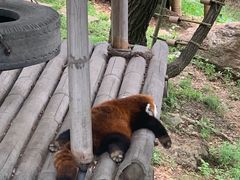 -大连森林动物园