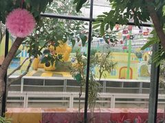 -南宫五洲植物乐园