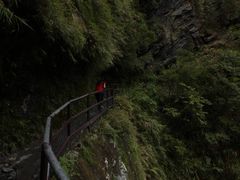 -太鲁阁公园