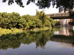 -小洲村