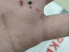 -首都医科大学附属北京潞河医院