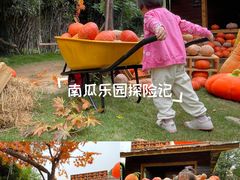 -HERRE·FARM 赫尔露营农场·团建聚会包场