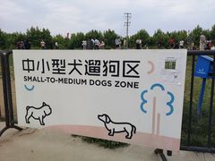 -栖露营camping·天幕烧烤·团建拓展·采摘营地