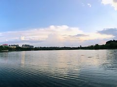 -洛龙公园