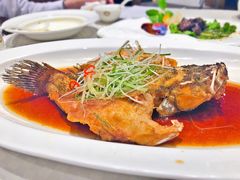 -望乡楼上海菜(日月光店)