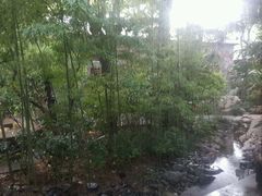 -西安国际创新人才交流中心•药浴温泉