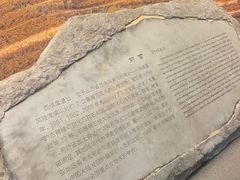 -西侯度遗址