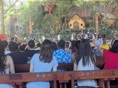 -海南槟榔谷黎苗文化旅游区