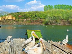 -沈阳森林动物园