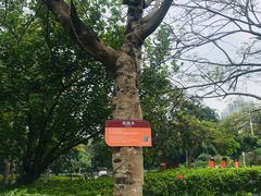 -白沙门生态公园