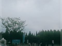 -黄海国家森林公园