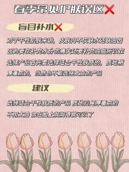 -苑苑vbeauty科技美容SPA
