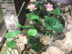-小龙坎老火锅(红旗街店)