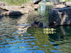 -北京动物园