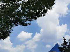 -上海市龙华烈士陵园