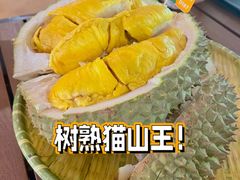 -榴莲BB 四季果园