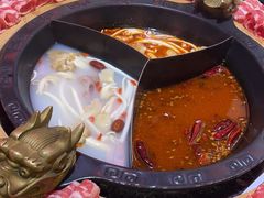 -蜀大侠火锅(森兰花园城店)