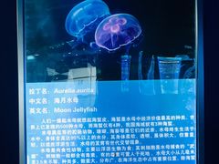 -厦门海底世界