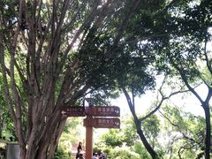 -南诏风情岛