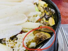-江川野生菌火锅铜锅鱼(贵清火锅店)