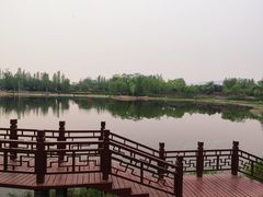 -北坞公园