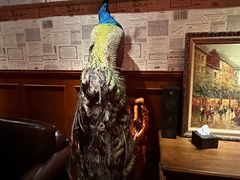 -Hill.Cocktail半山酒吧(中山店)