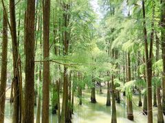 -青山湖景区