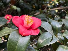 -青岛崂山太清宫