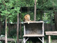 -清迈夜间动物园