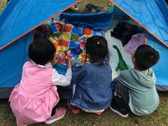 -铁山坪森林公园