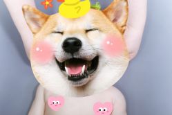 点击看大图 -可爱多国际儿童摄影会馆(龙泉店)