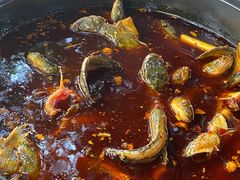 -金海椒罐罐鲢鱼(东方桂苑店)