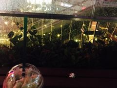 -星巴克臻选(深圳龙华红山天虹店)