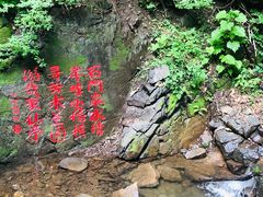 -天女山森林公园