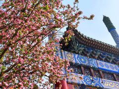 -陶然亭公园