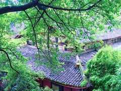 -青羊宫