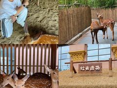 -唐山河头老街国丰维景度假大酒店