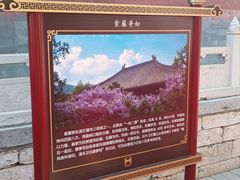 -红螺寺