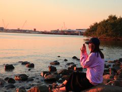 -宝安西湾红树林湿地公园