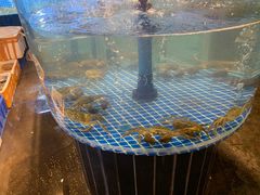 水产区-吉源大排档·鱼生·海鲜(烧烤彩印厂店)