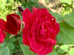 -济南国际园博园